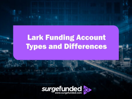 Lark Funding Account Types and Differences