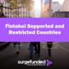 Fintokei Supported and Restricted Countries